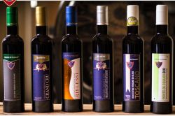 Die Olivenöle von Fonte di Foiano